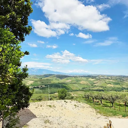 Olive Tree House - Maison A Porter Villa Scerni